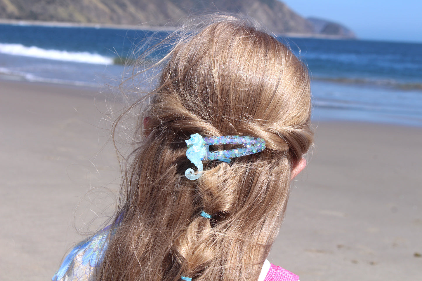 Blue seahorse clip